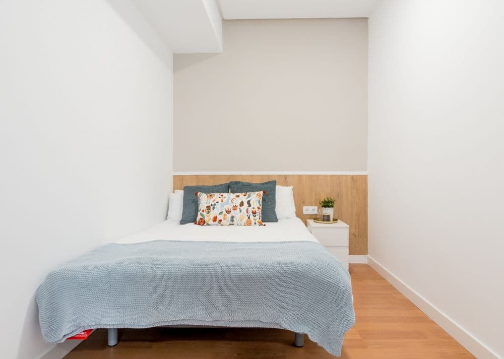 Private room in Madrid photo 4