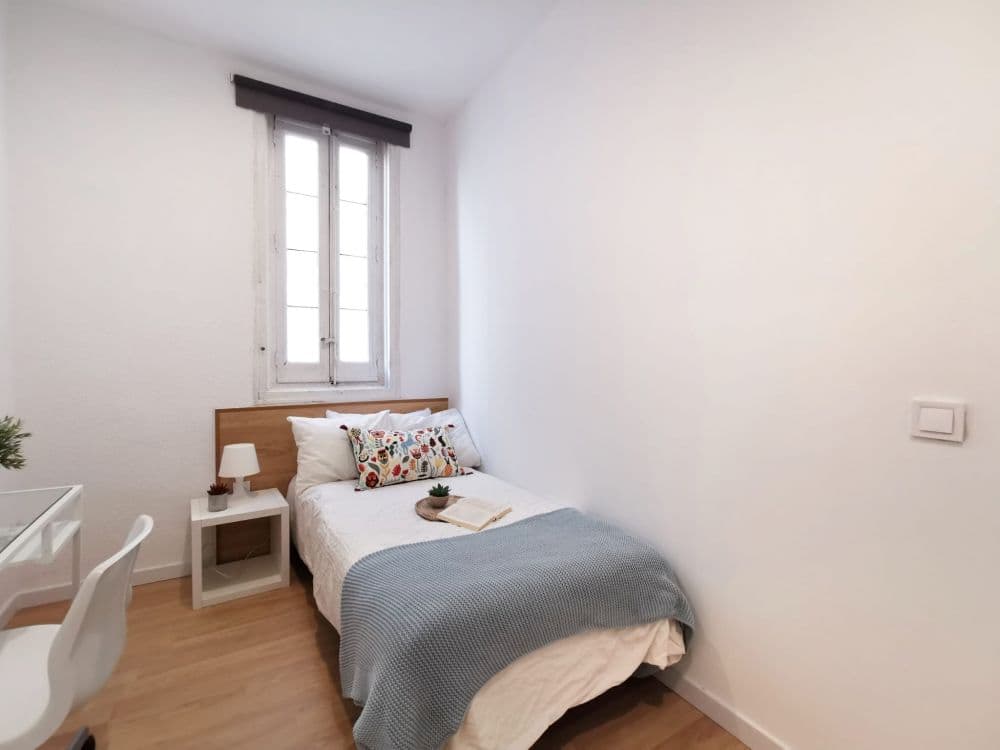 Private room in Madrid photo 5