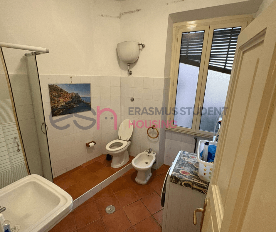 Shared Room in Rome photo 4