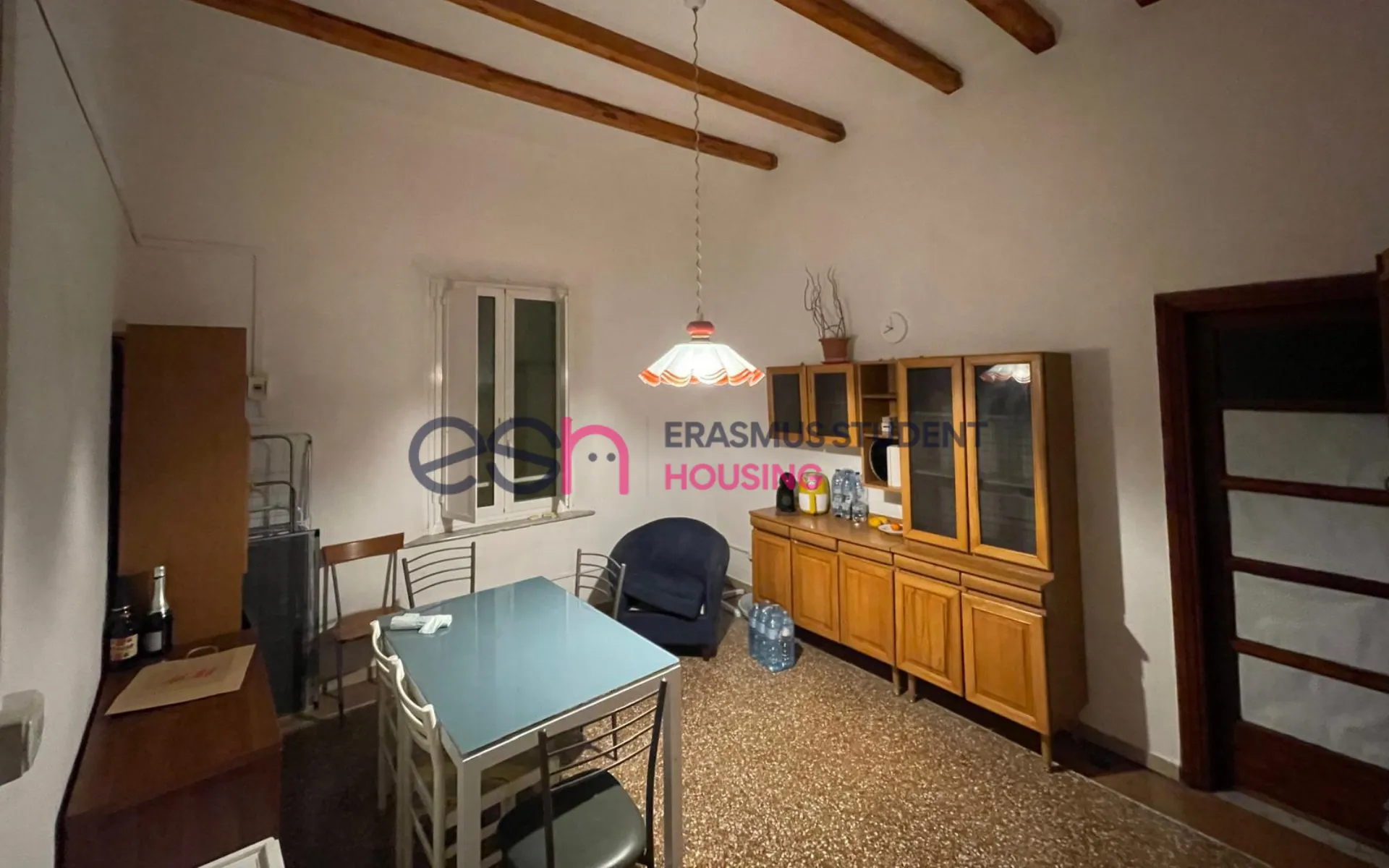 Shared Room in Pisa photo 5