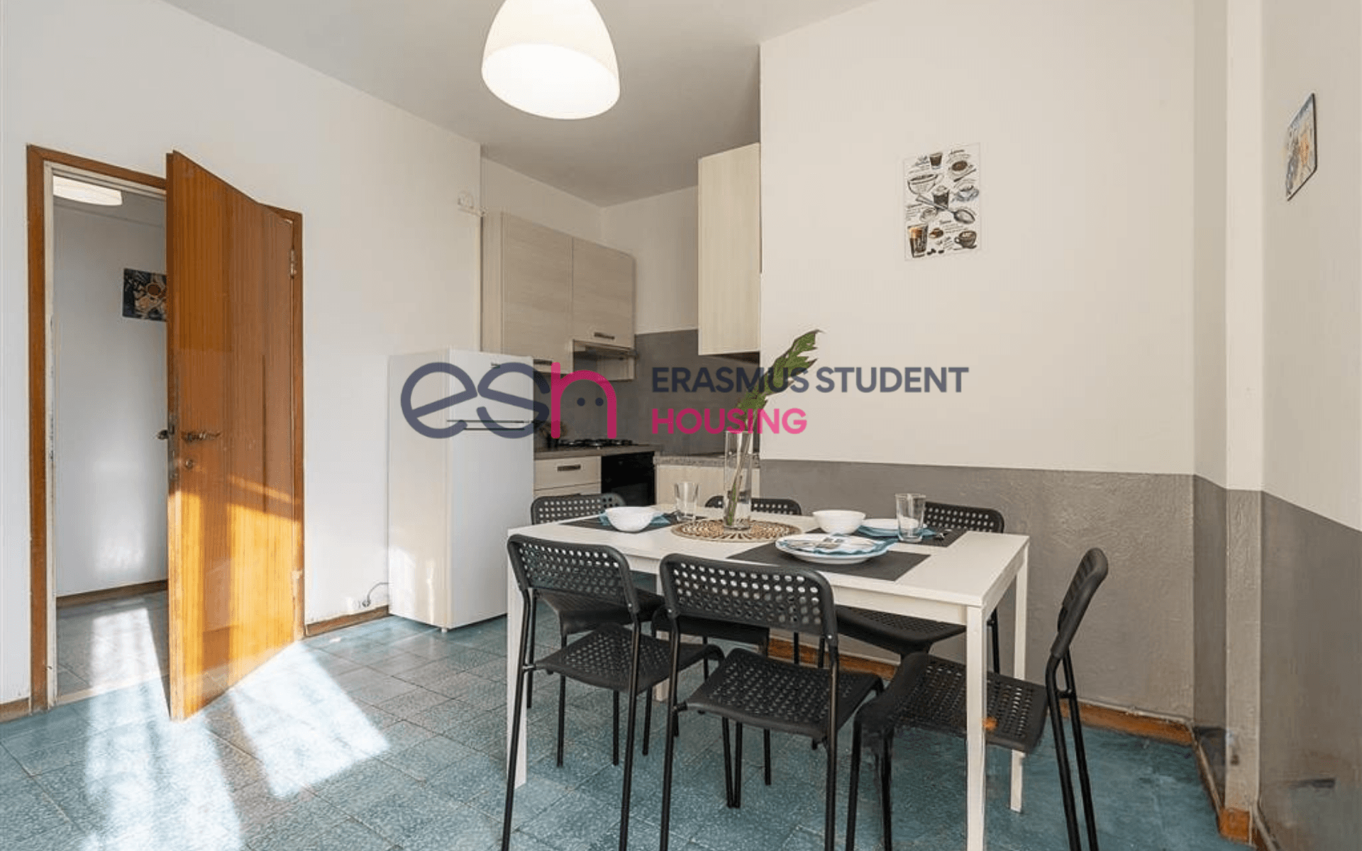 Shared Room in Pisa photo 4