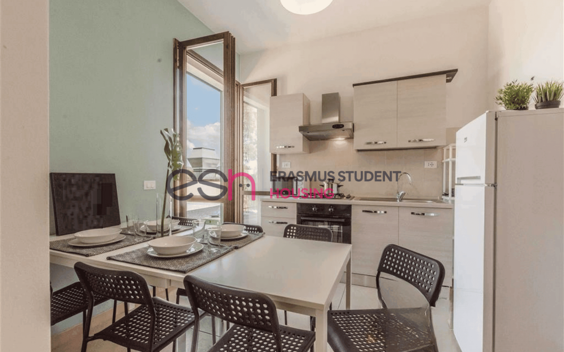 Shared Room in Pisa photo 3