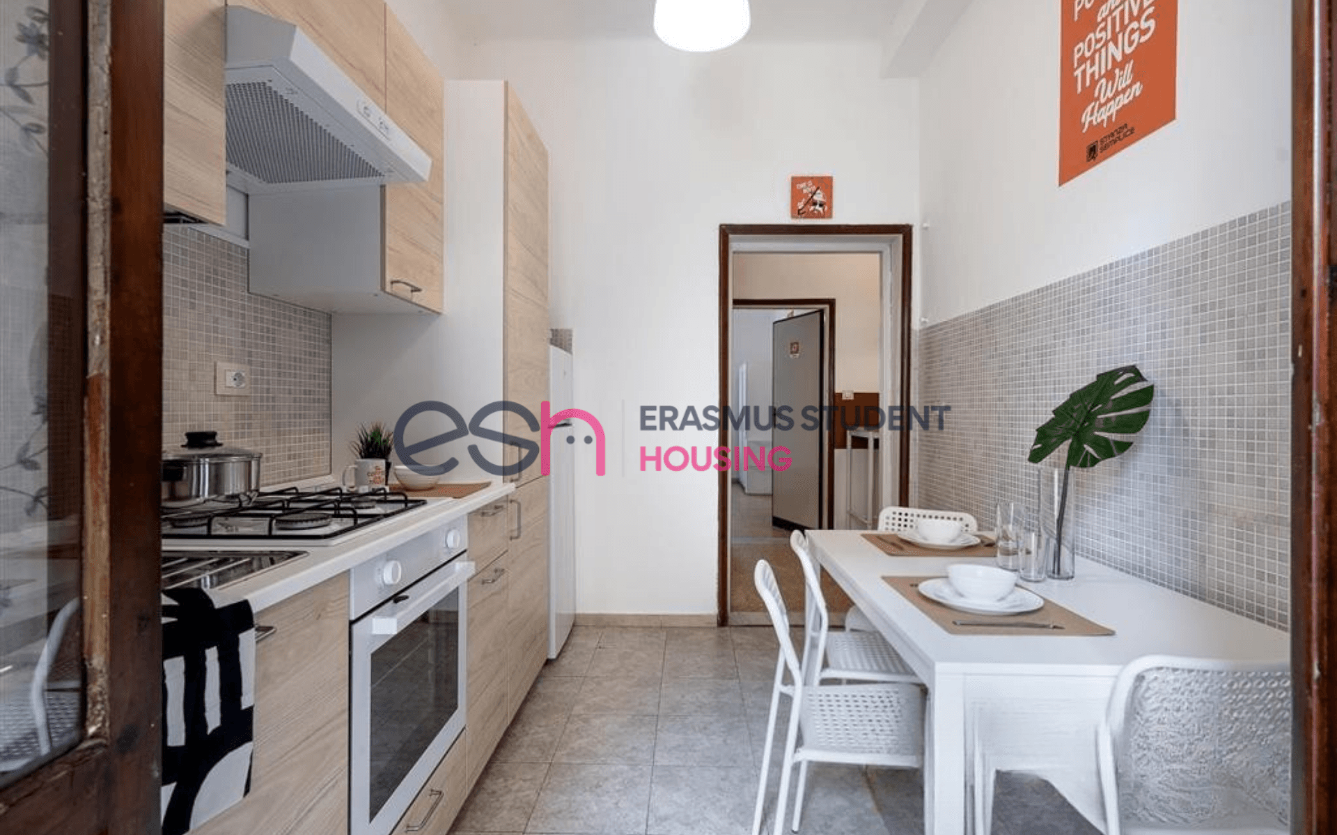 Shared Room in Pisa photo 4