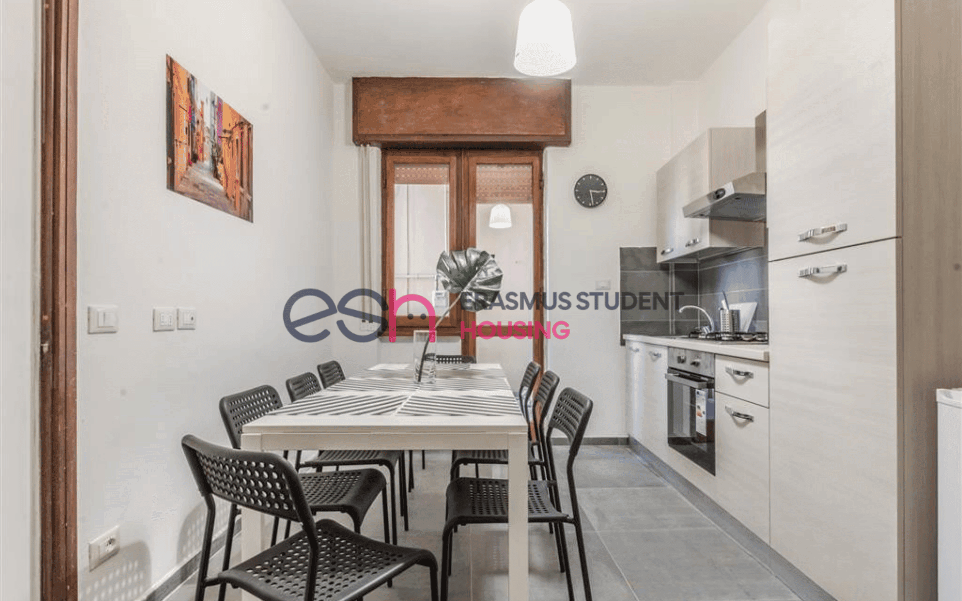 Shared Room in Pisa photo 5