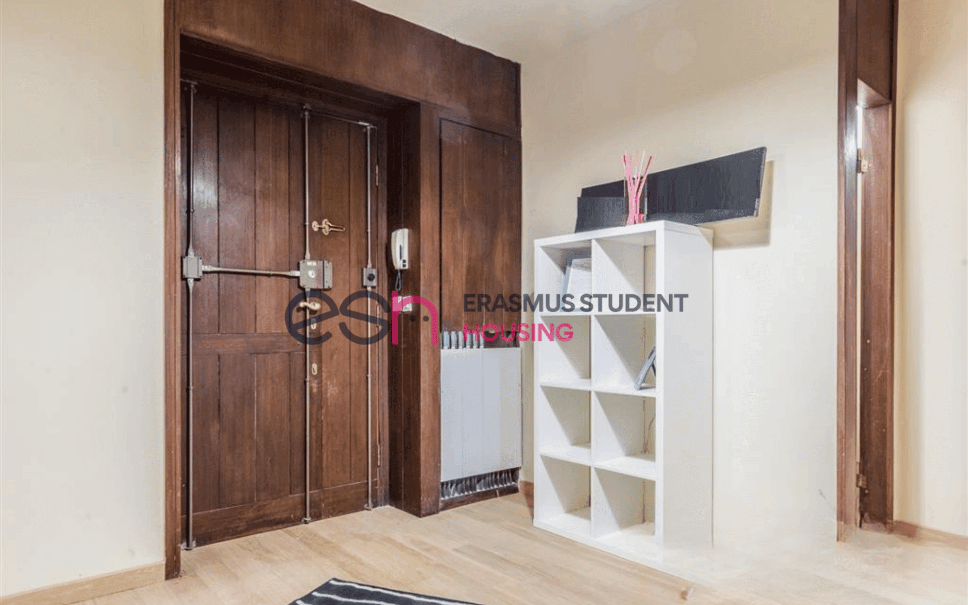 Shared Room in Pisa photo 4