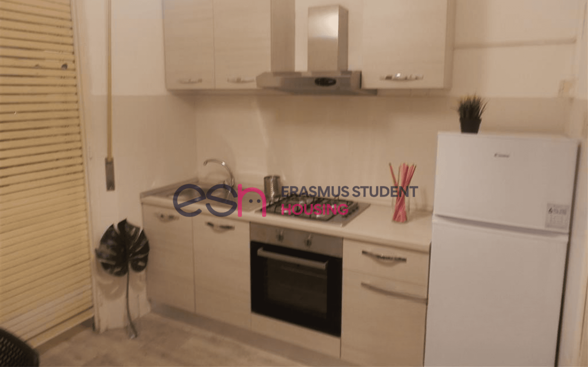 Shared Room in Pisa photo 5