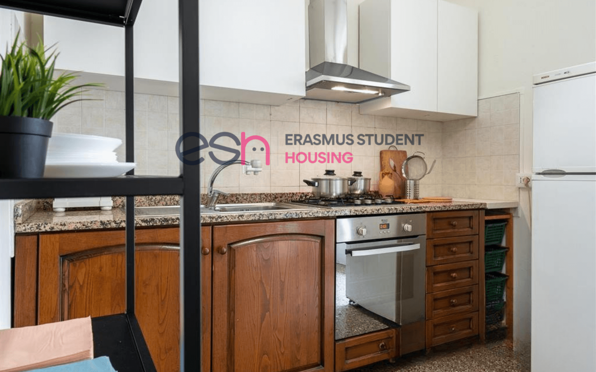 Shared Room in Pisa photo 5