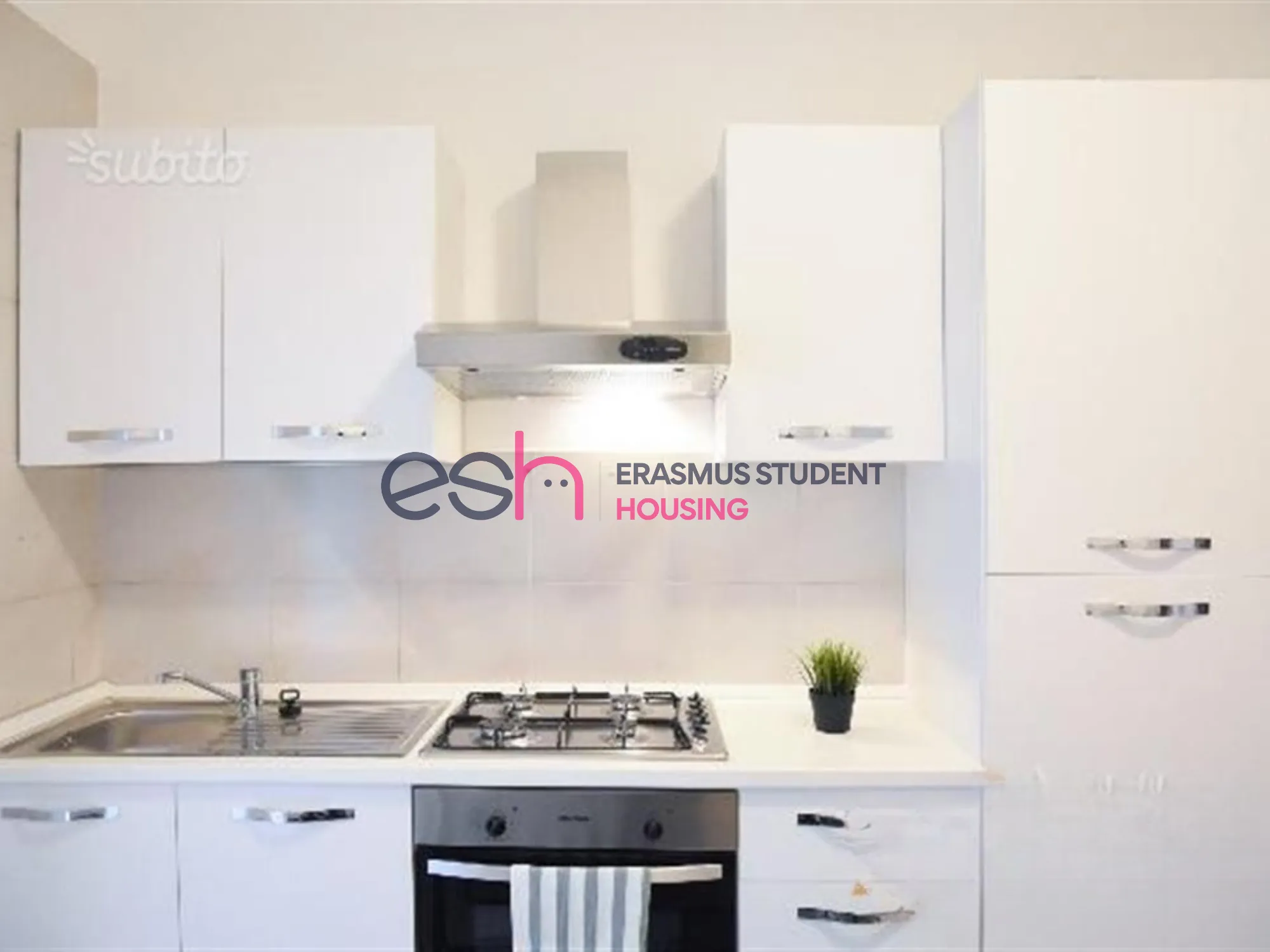 Private room in Pisa photo 4