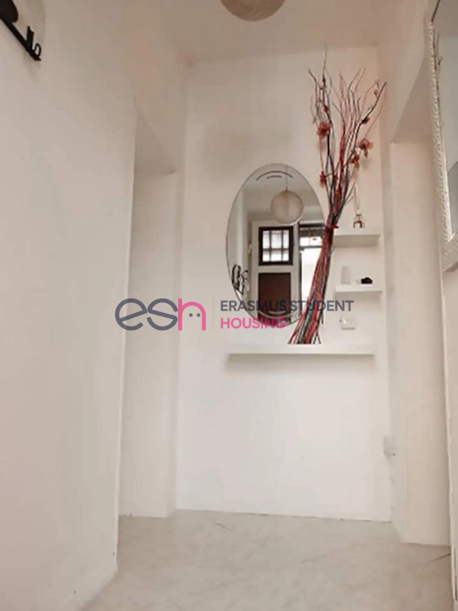 Apartment in Pisa photo 4