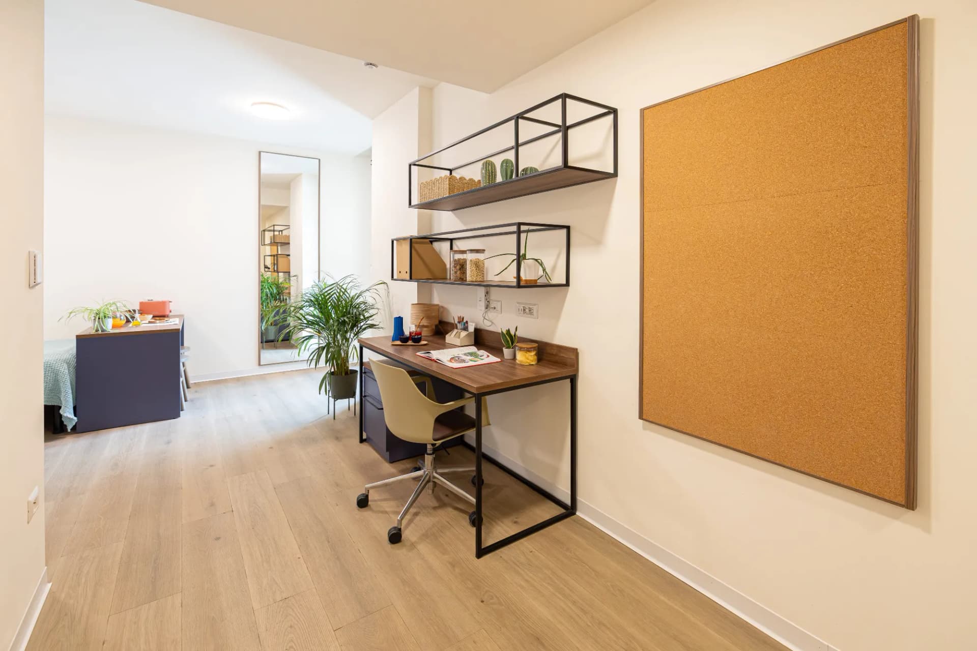 Estudio Deluxe Accesible