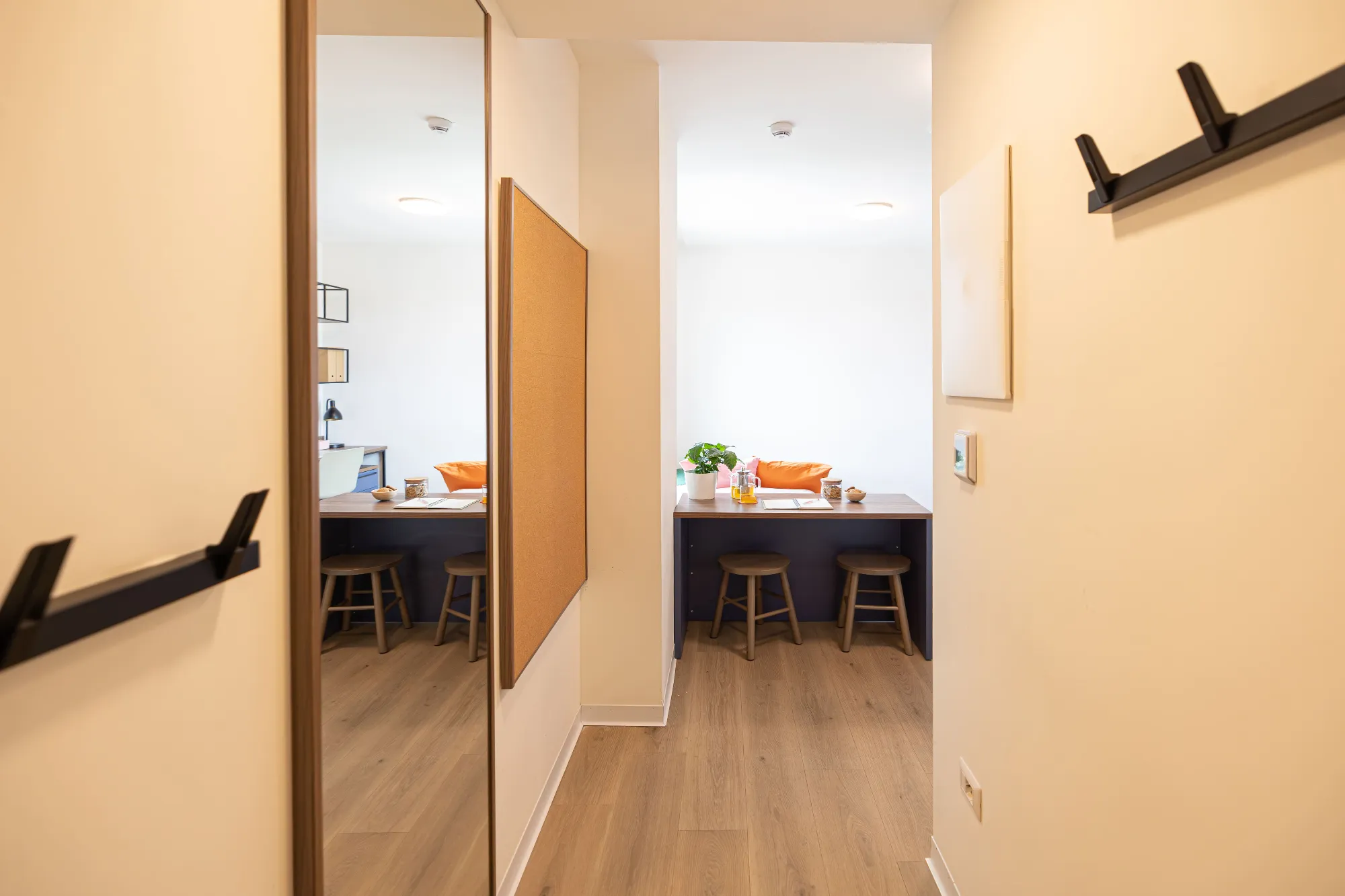 Estudio Accesible Intermedio