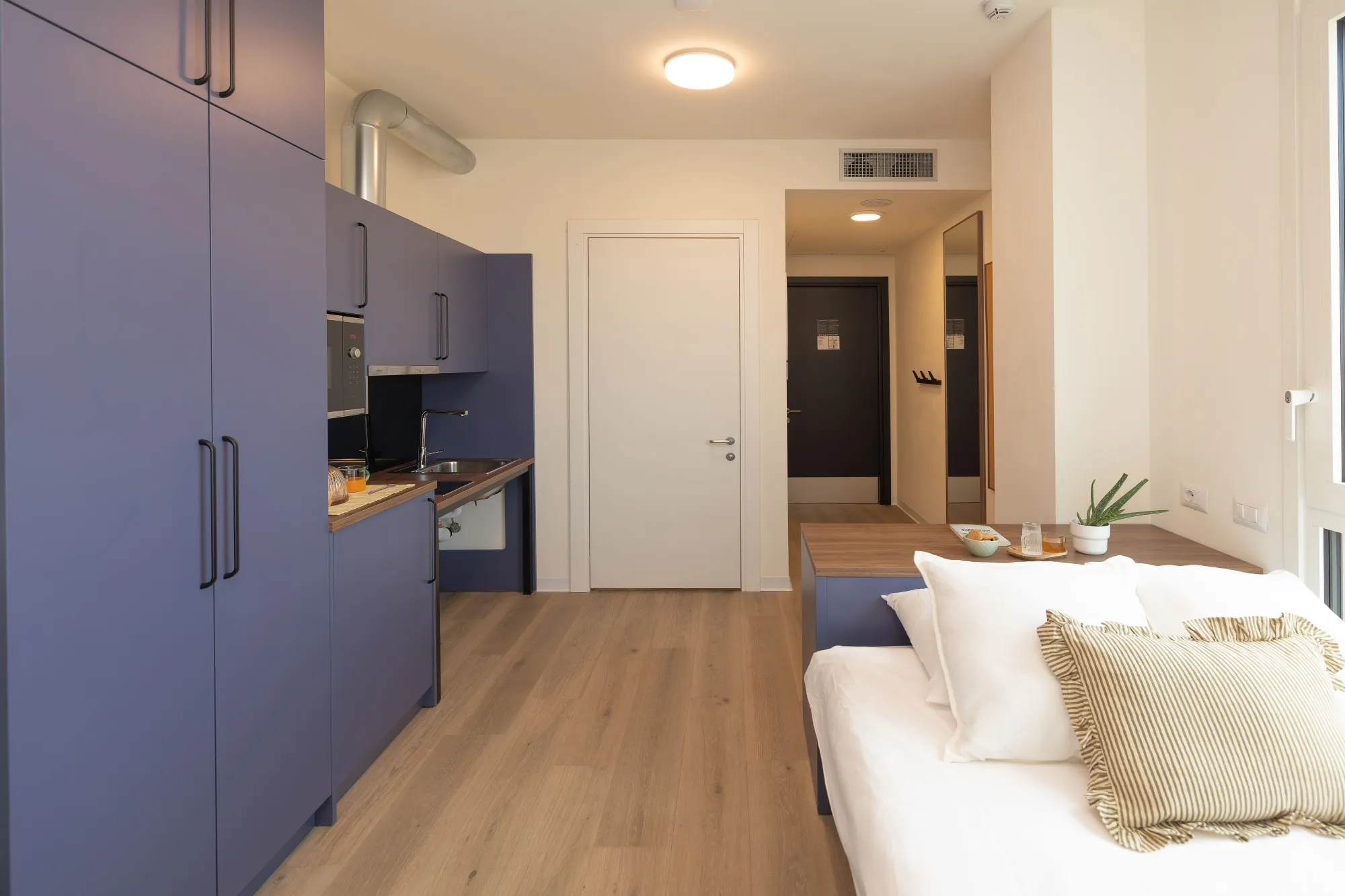 Estudio Adaptado High en Bologna 2