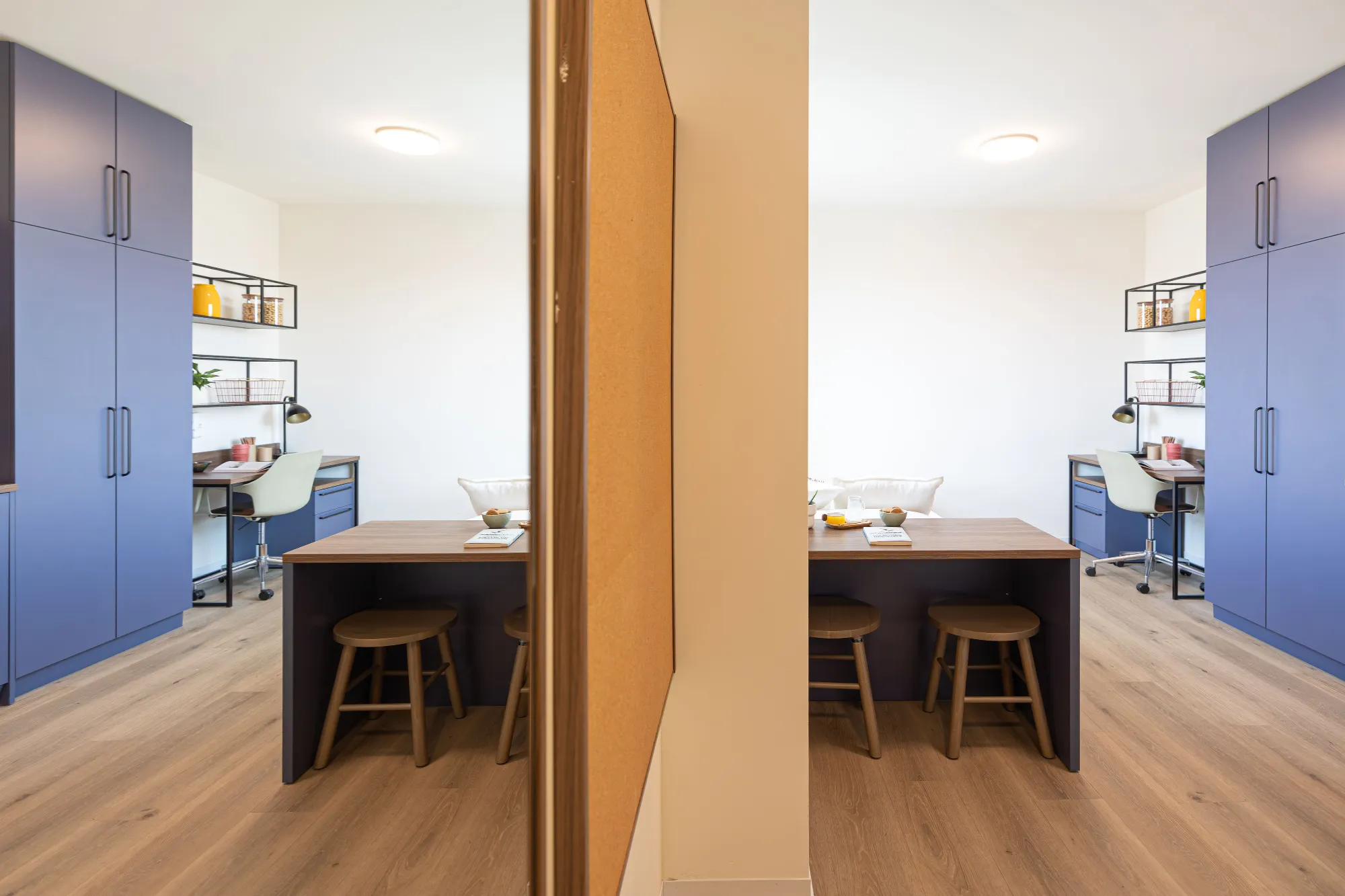 Estudio Adaptado High en Bologna 4