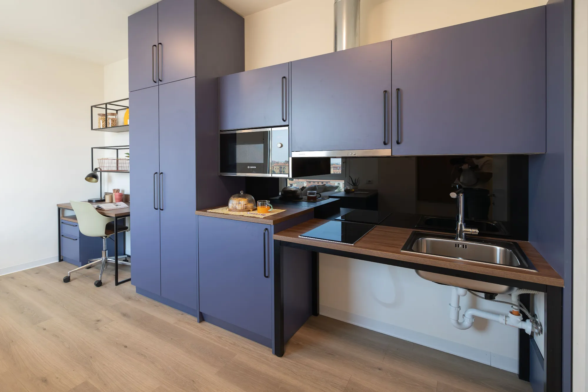 Estudio Adaptado High en Bologna 5