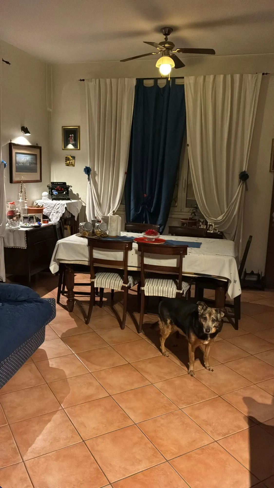 Private room in Rome photo 4