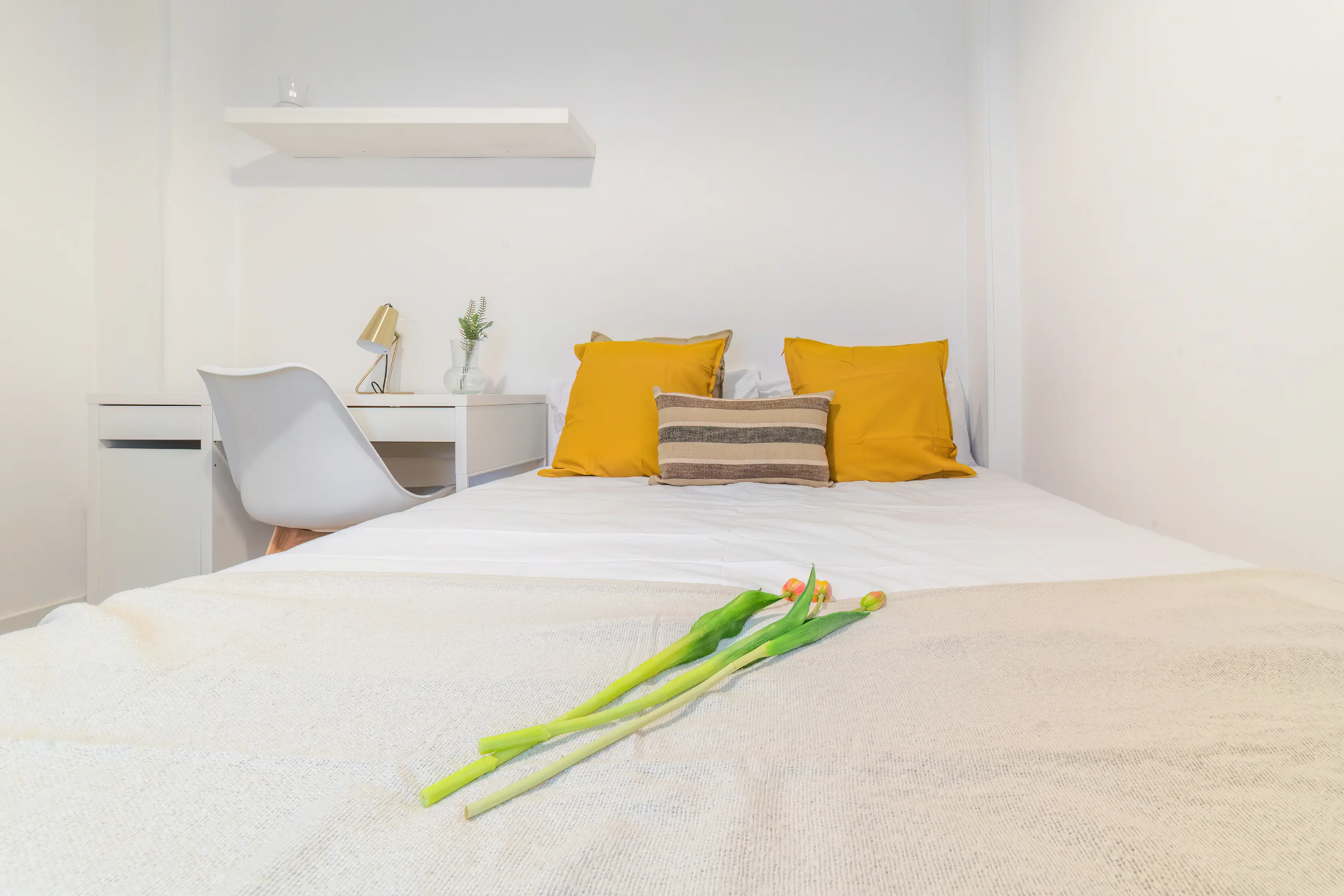 Private room in Madrid photo 2