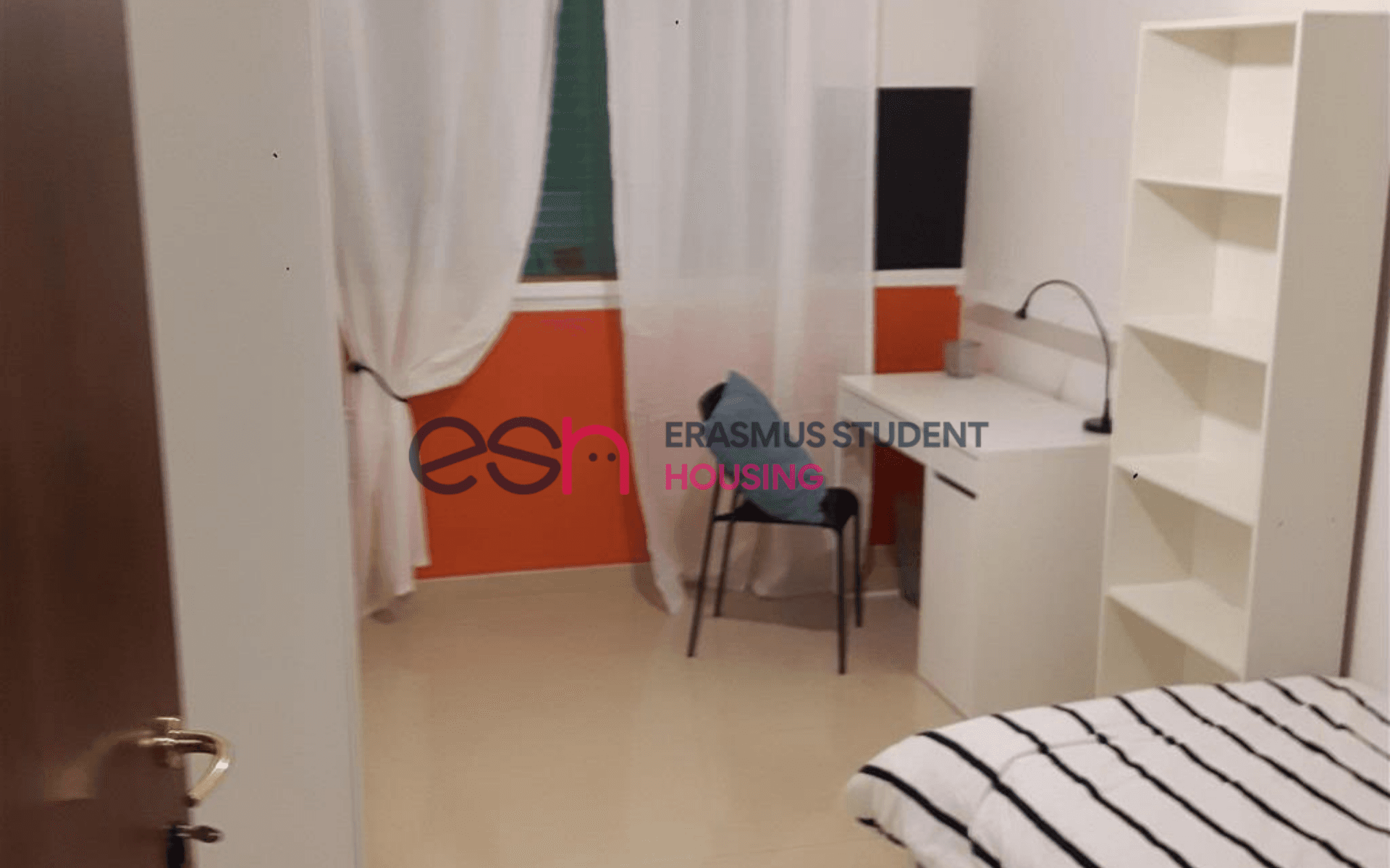 Shared Room in Pisa photo 2