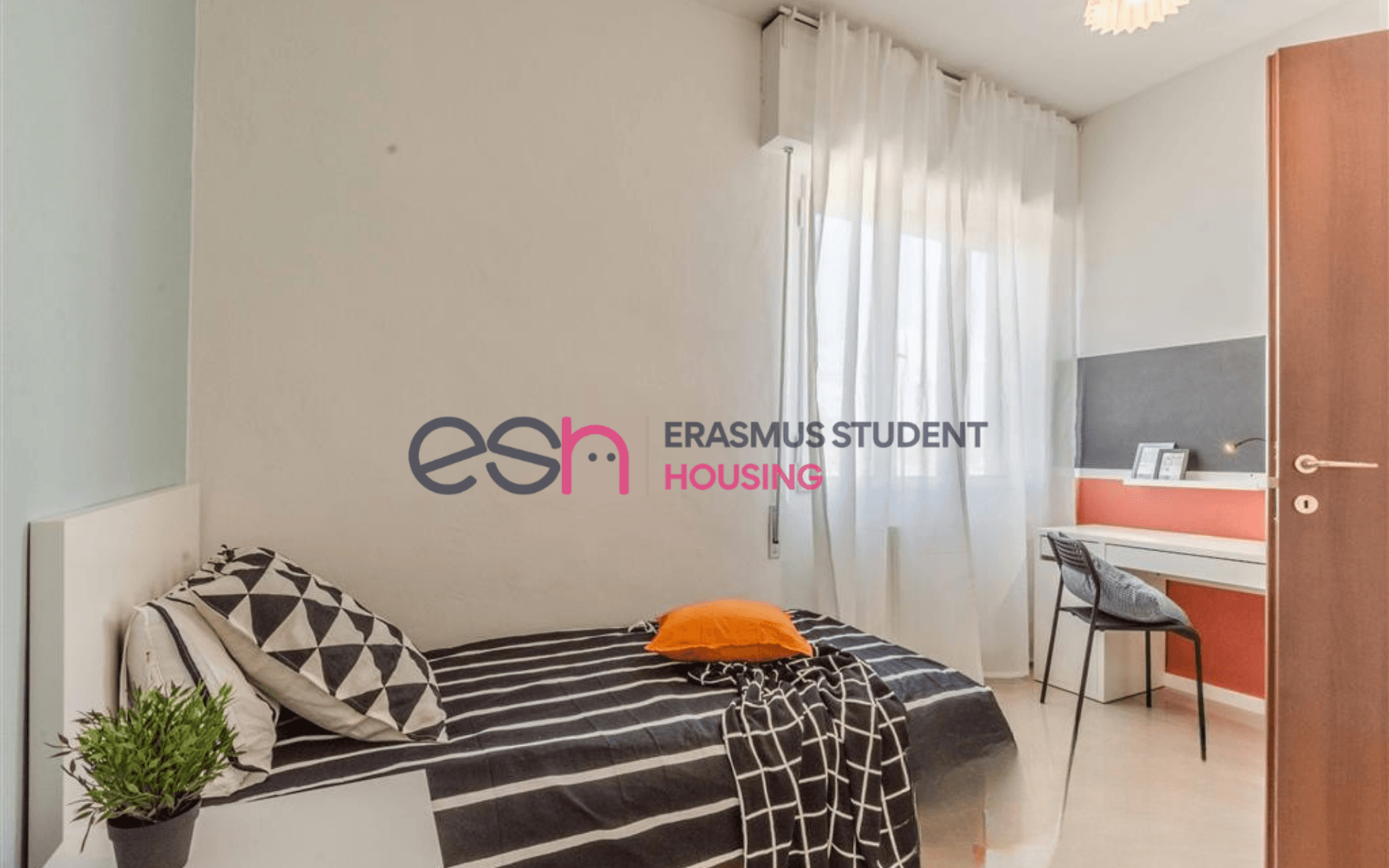 Shared Room in Pisa photo 2