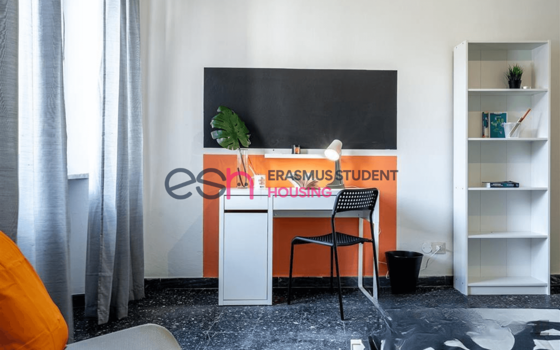 Shared Room in Pisa photo 2