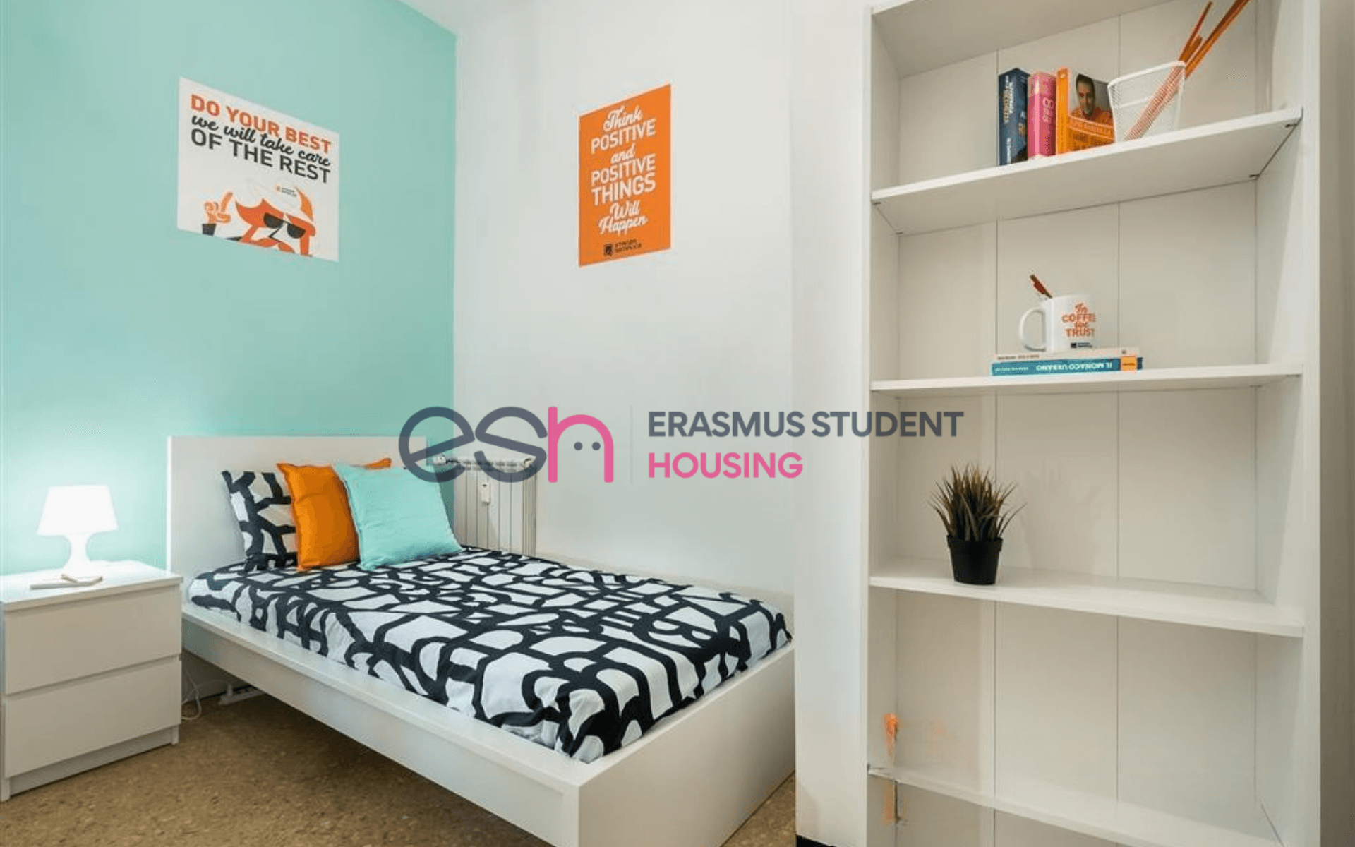 Shared Room in Pisa photo 2