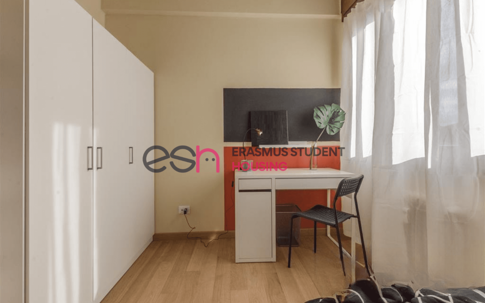 Shared Room in Pisa photo 2