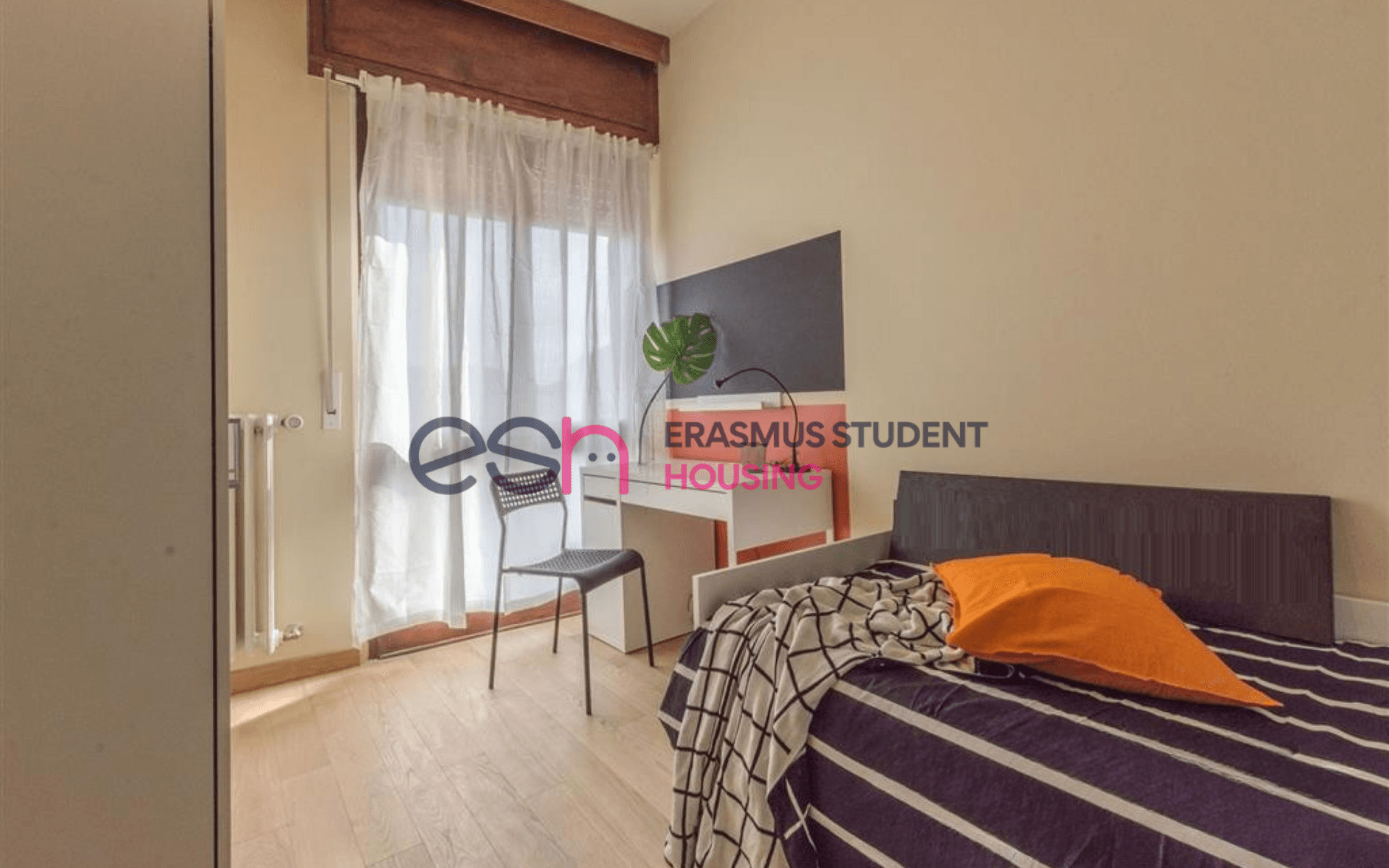 Shared Room in Pisa photo 3