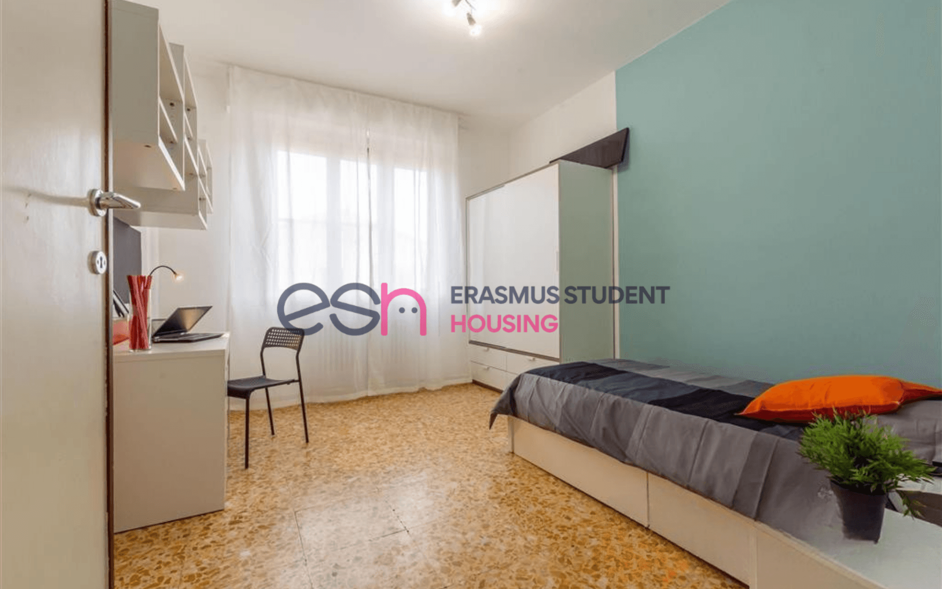 Shared Room in Pisa photo 2