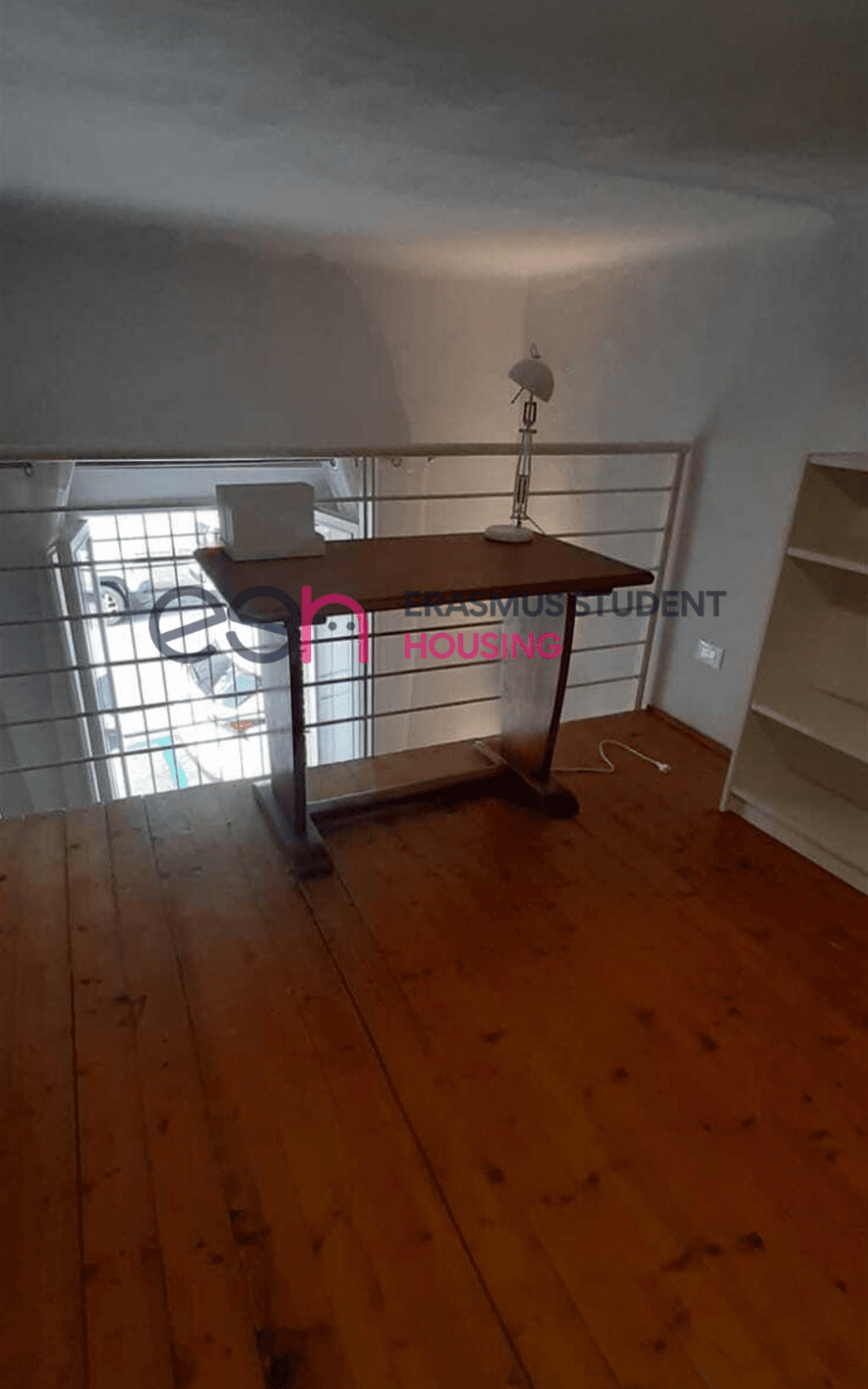 Shared Room in Pisa photo 3