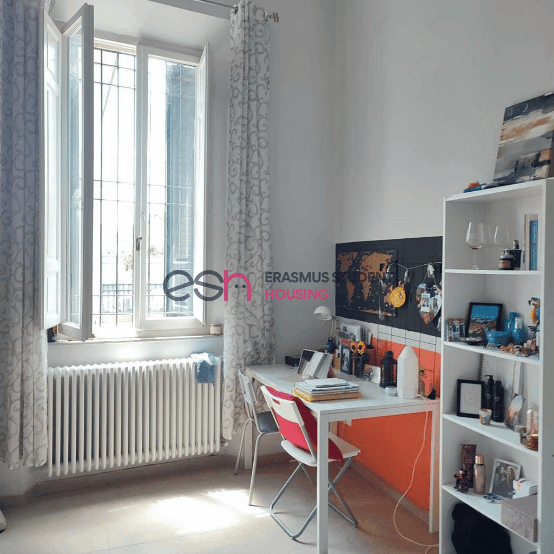 Shared Room in Pisa photo 4