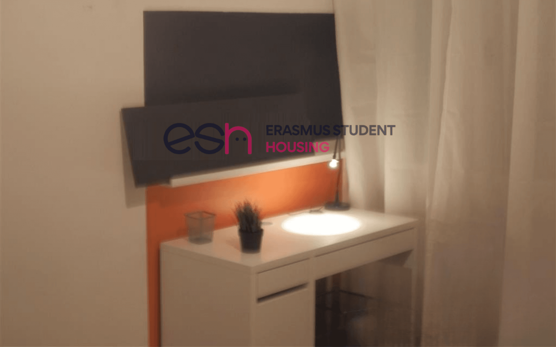 Private Room in Pisa photo 2