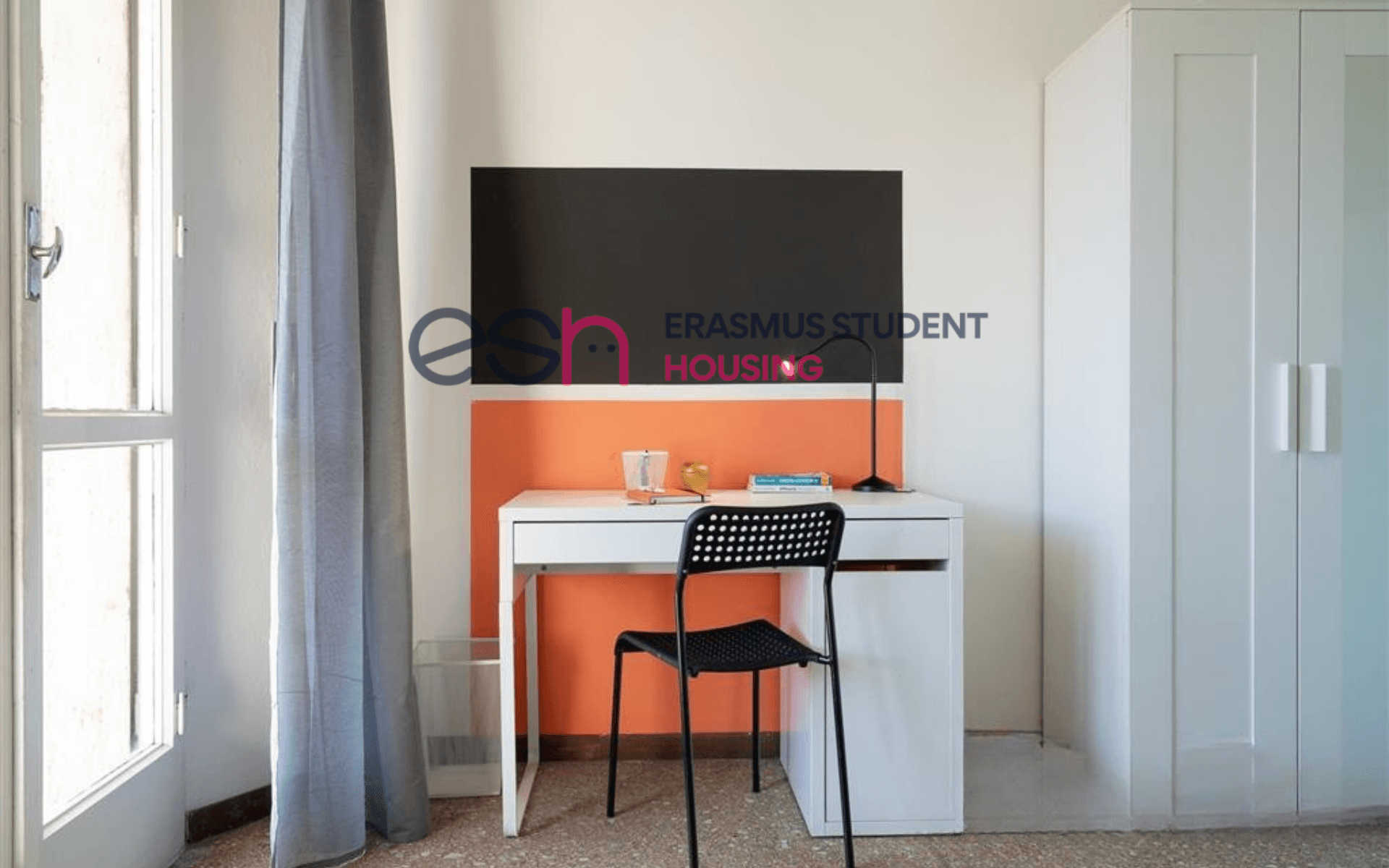 Shared Room in Pisa photo 2