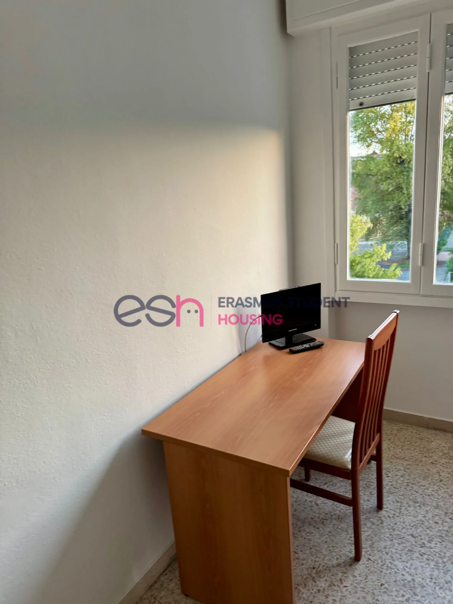 Private room in Pisa photo 4