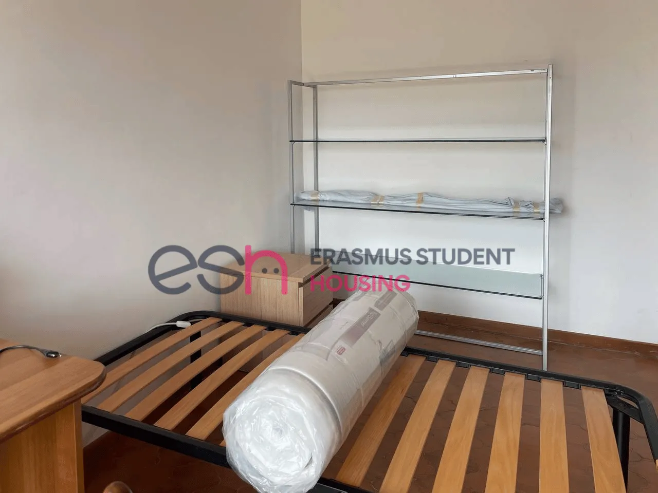 Private room in Pisa