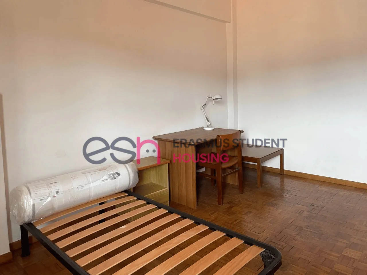 Private room in Pisa photo 2