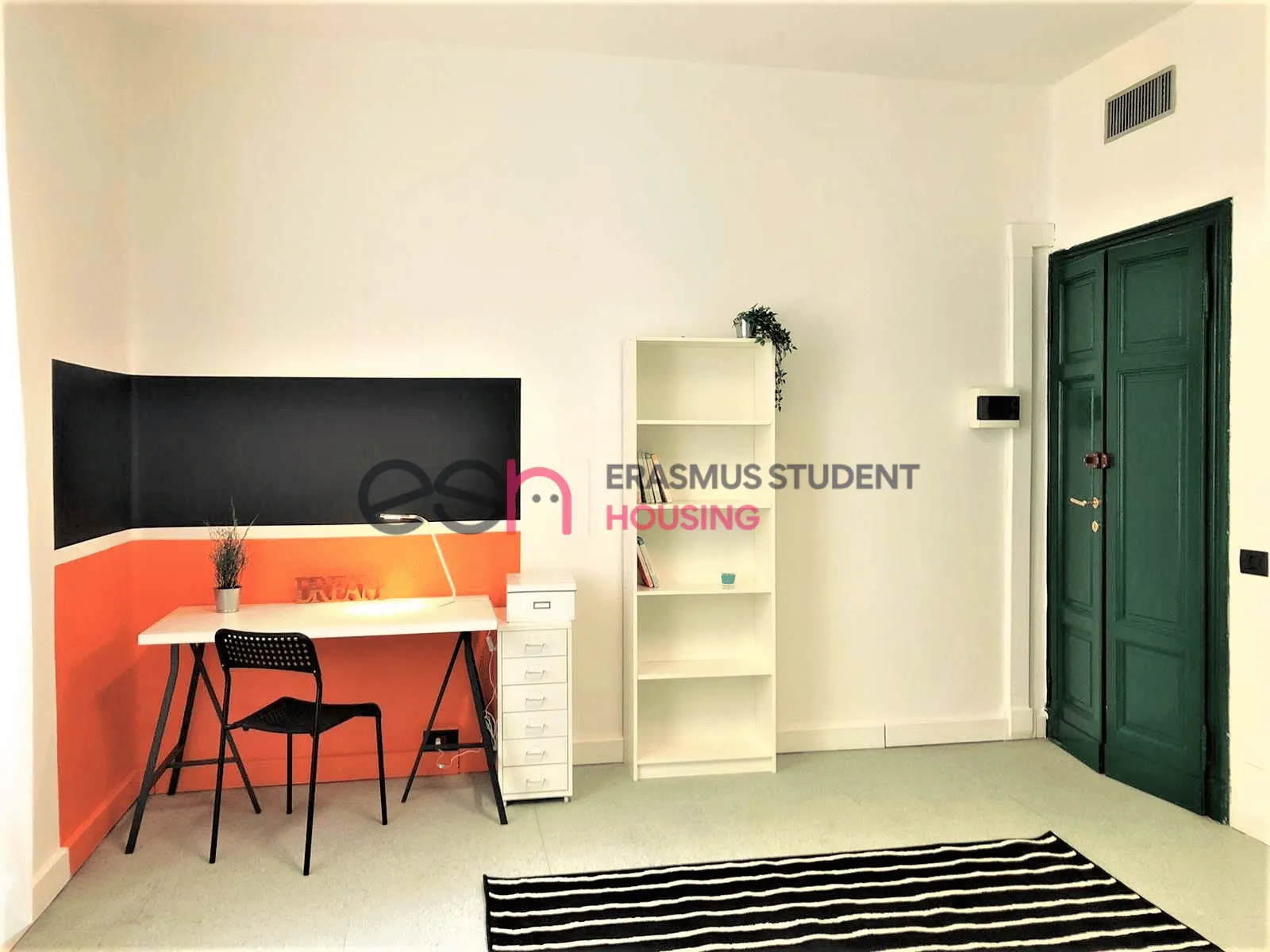 Shared Room in Florence photo 3