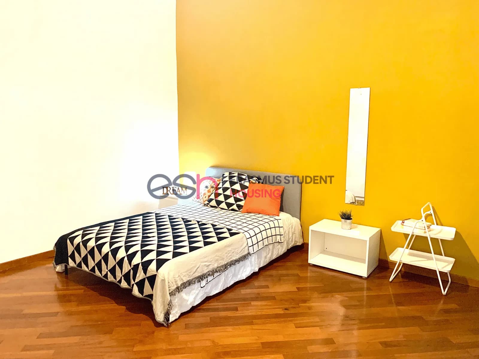 Shared Room in Florence photo 3