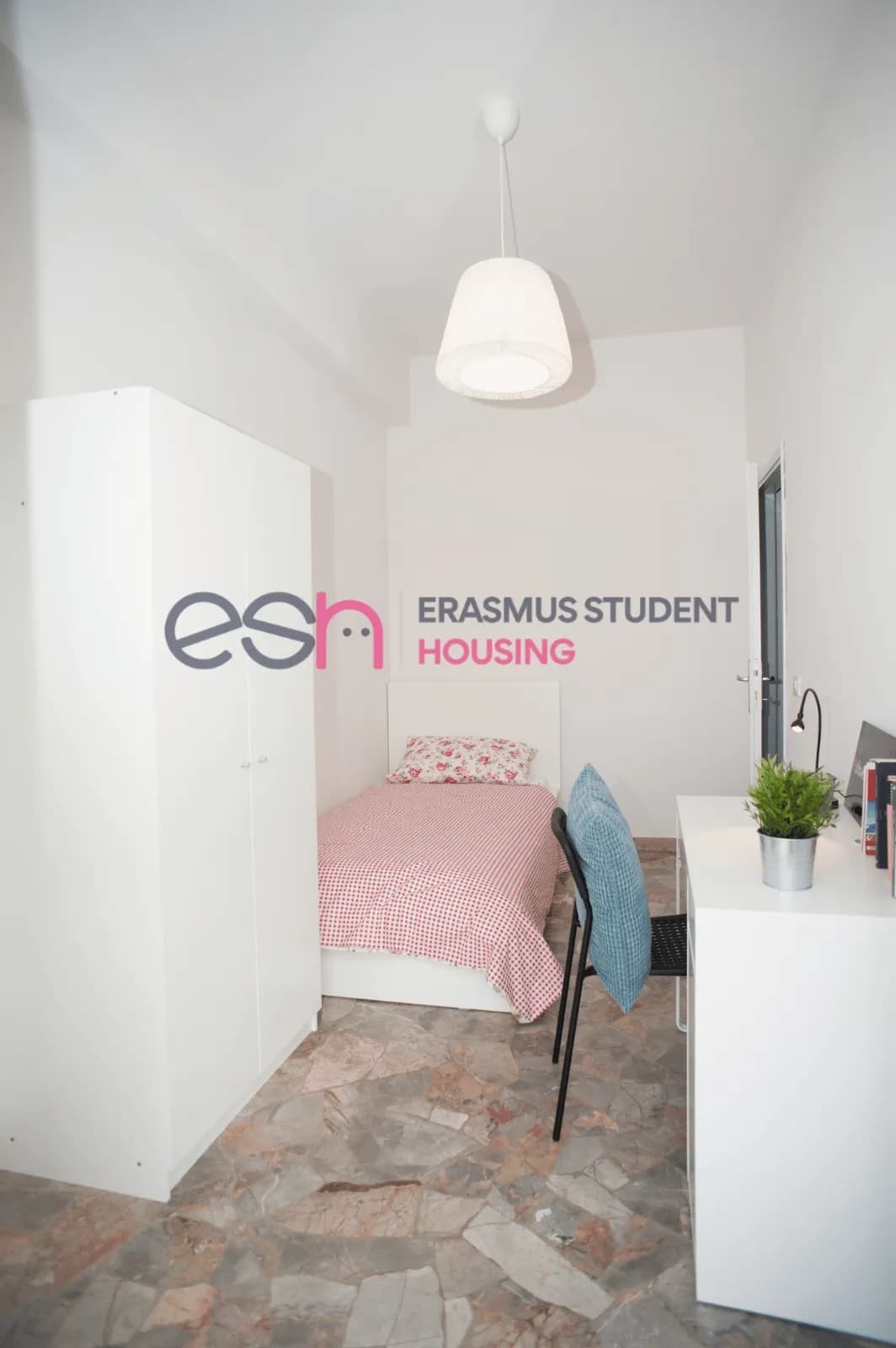 Shared Room in Florence photo 4