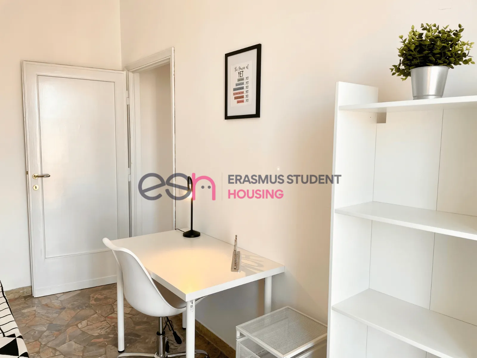 Shared Room in Florence photo 4