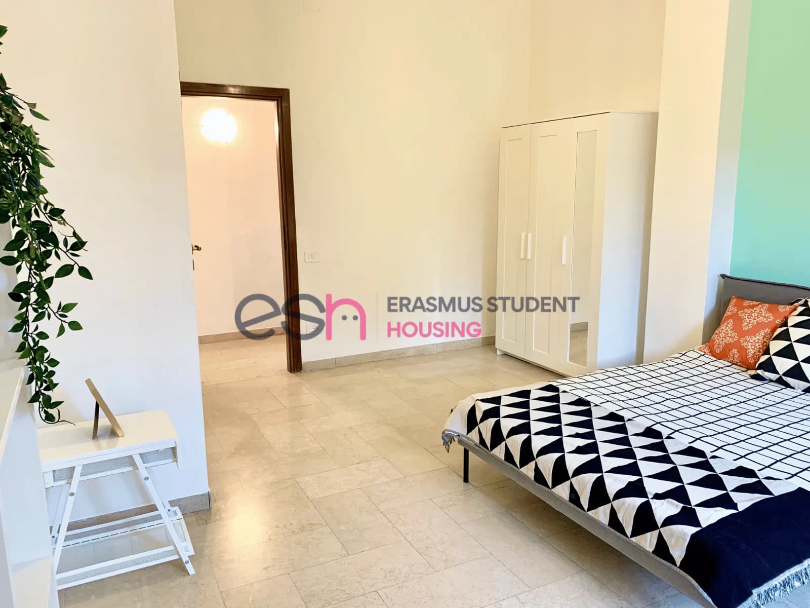 Shared Room in Florence photo 5