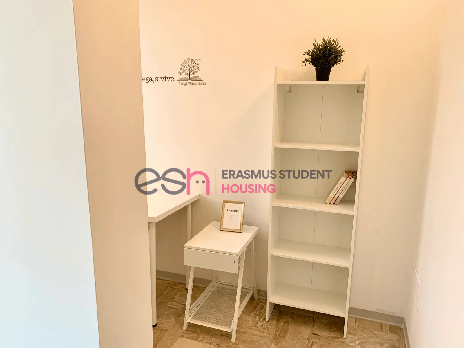 Shared Room in Florence photo 4