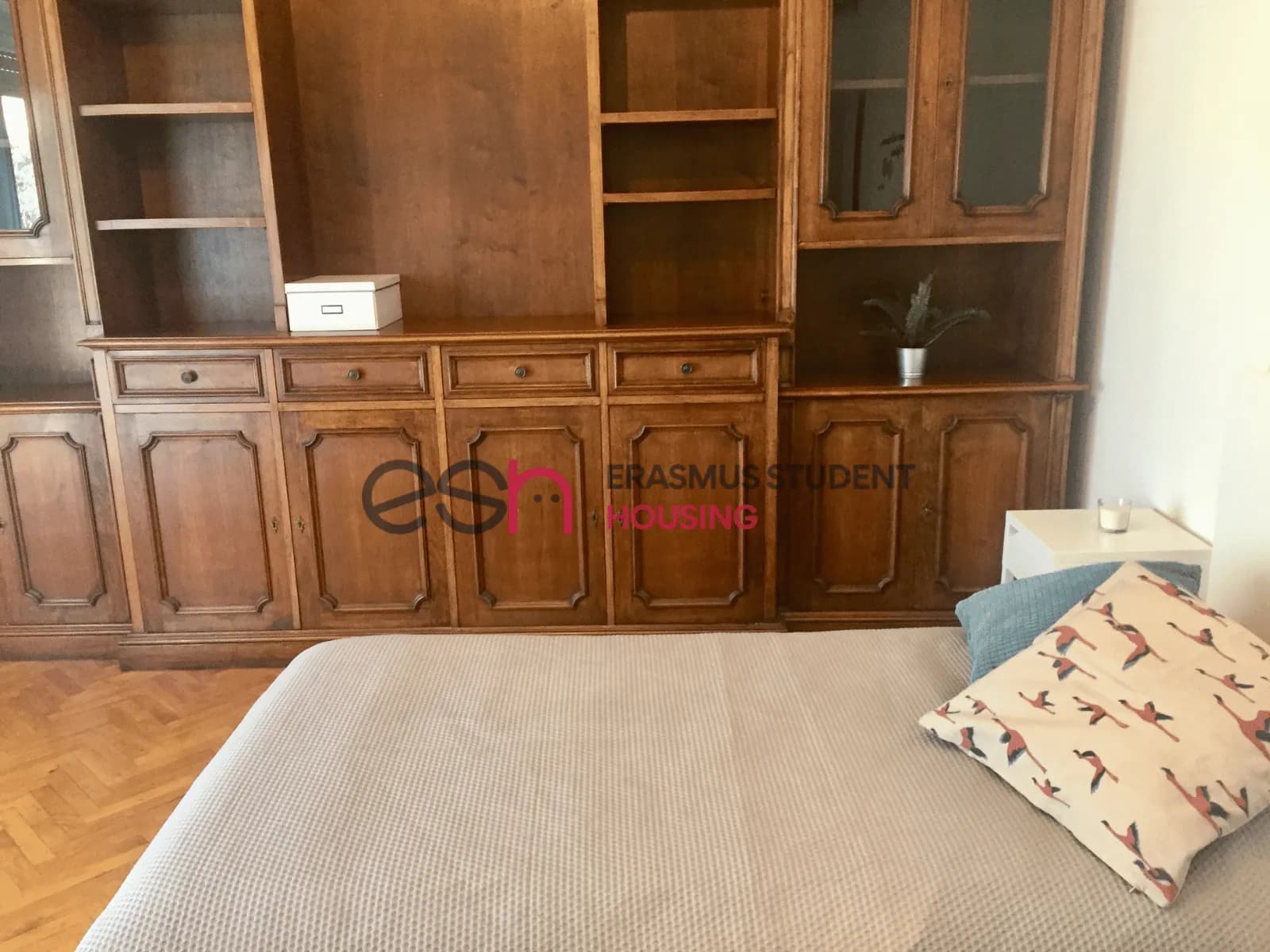 Shared Room in Florence photo 5