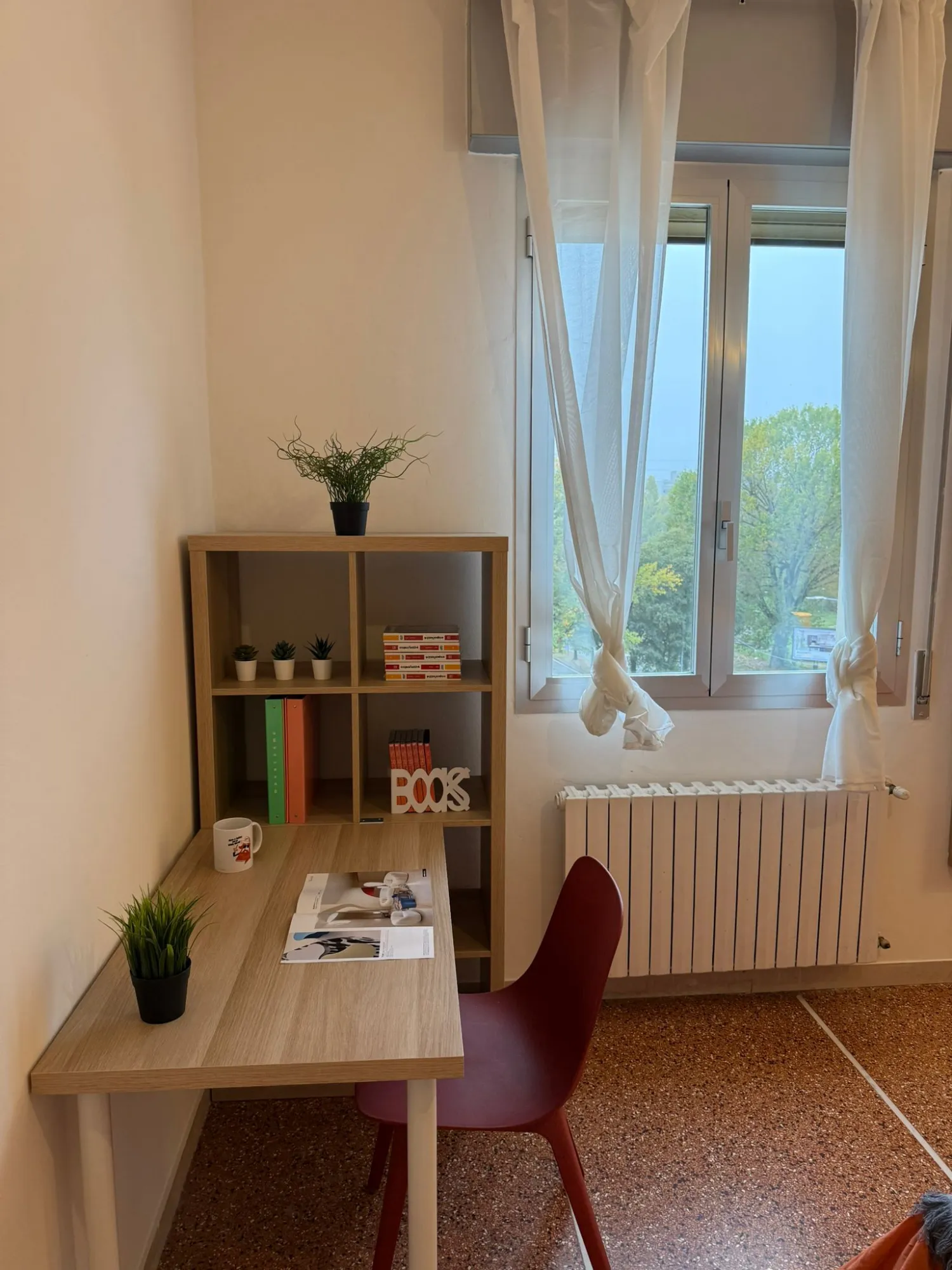 Stanza privata a Bologna photo 2