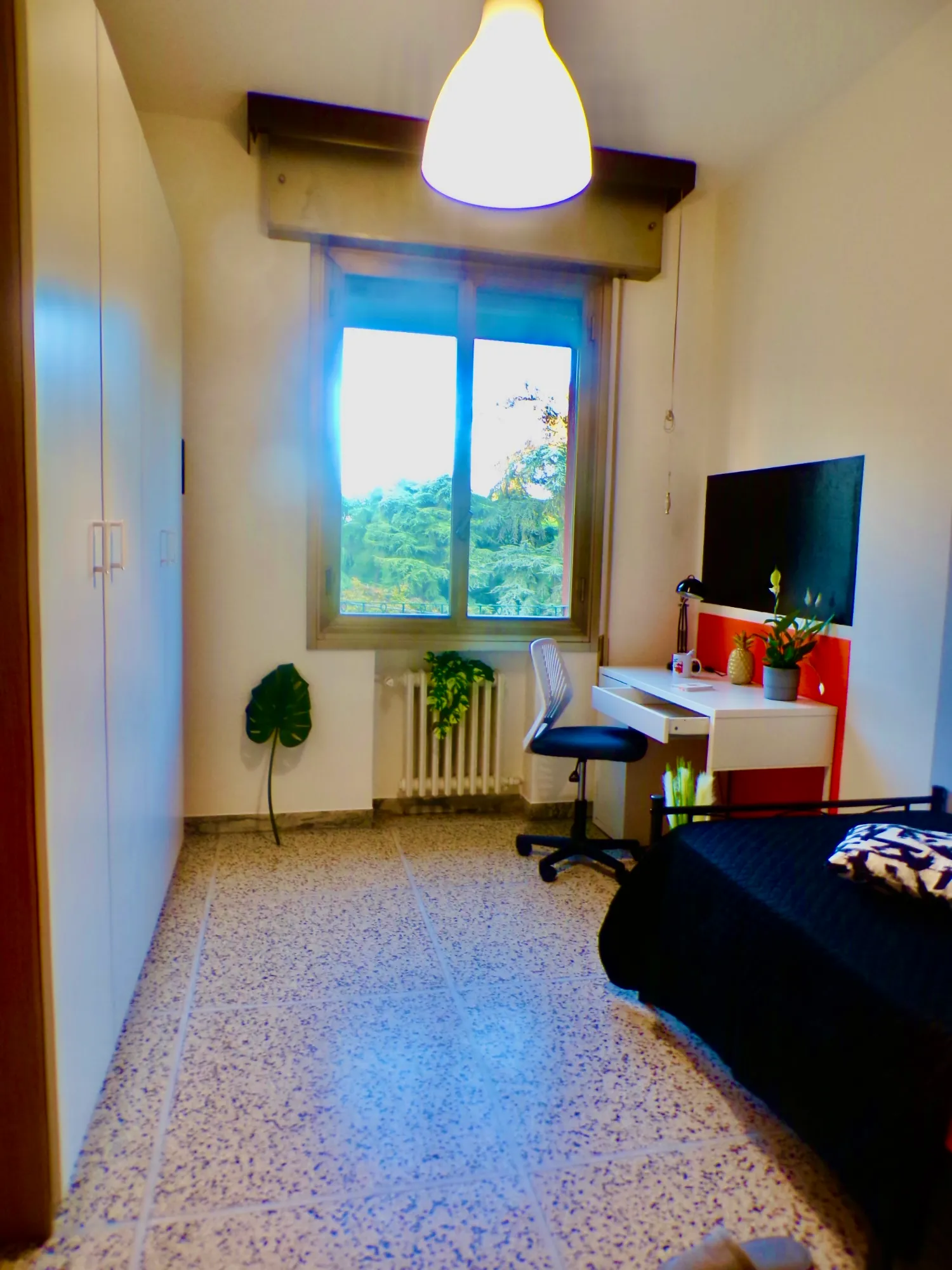 Private room in Bologna photo 2