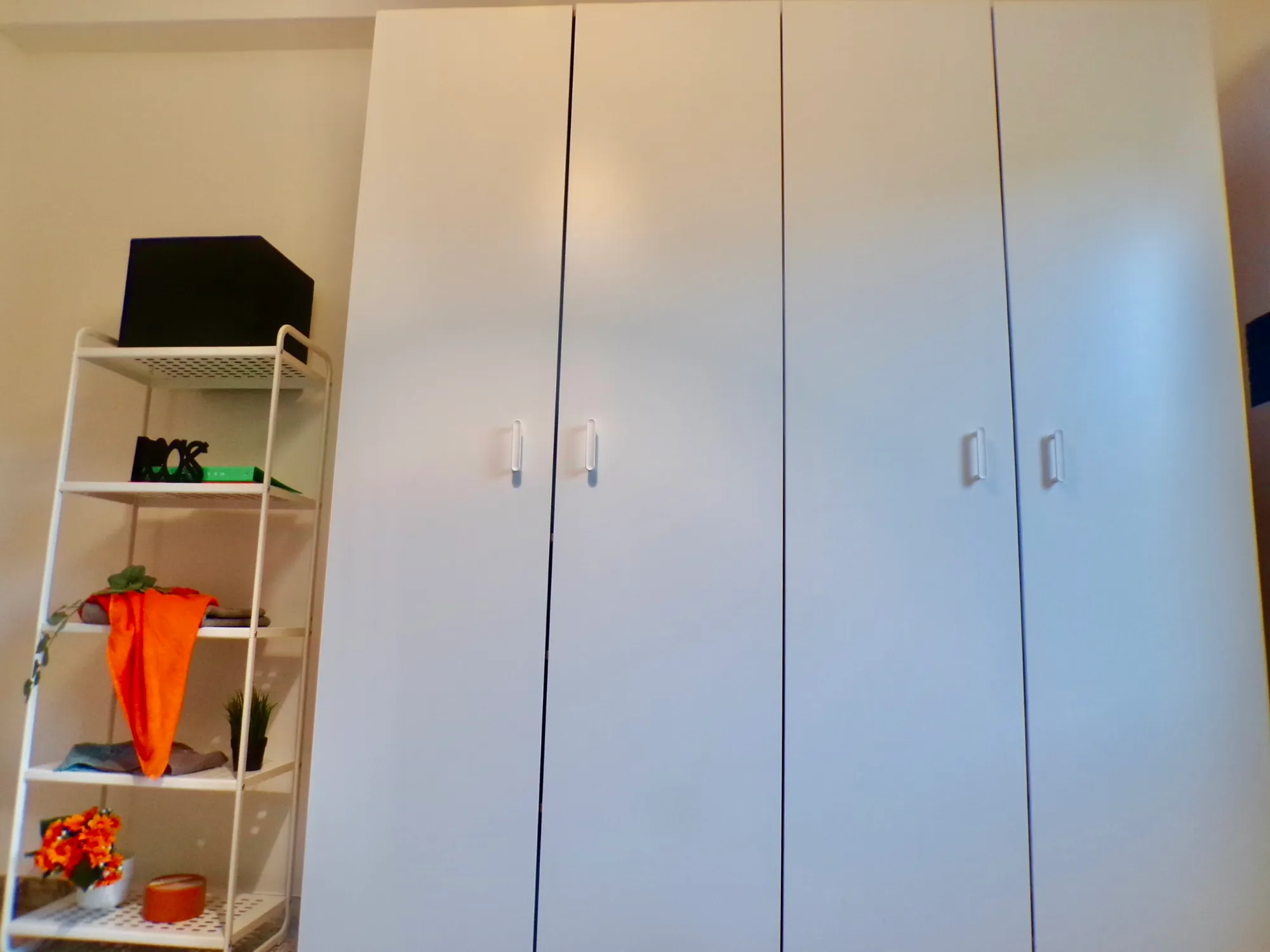 Private room in Bologna photo 5