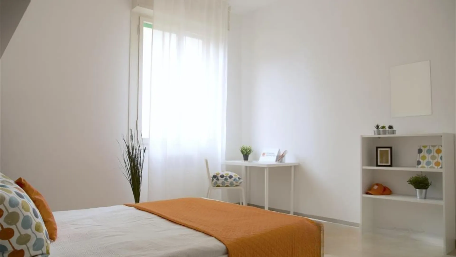 Private room in Bologna photo 2