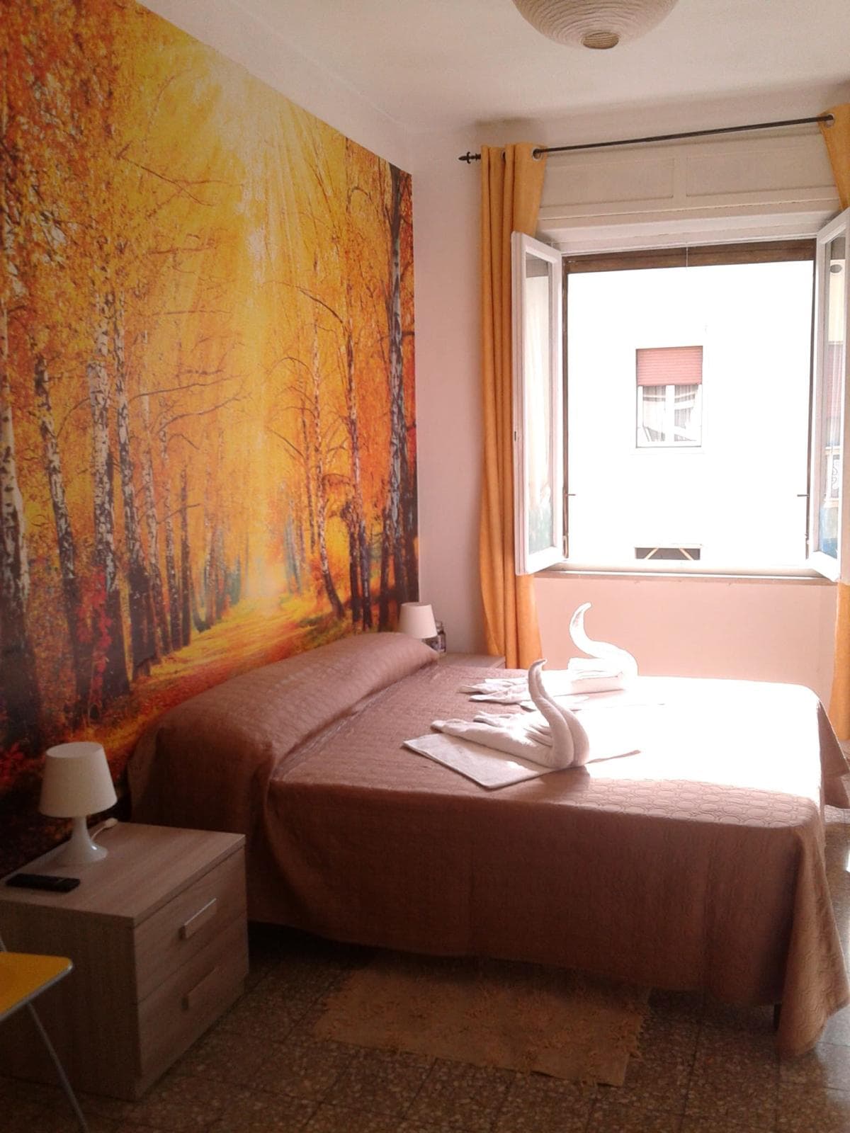 Shared Room in Pisa photo 4