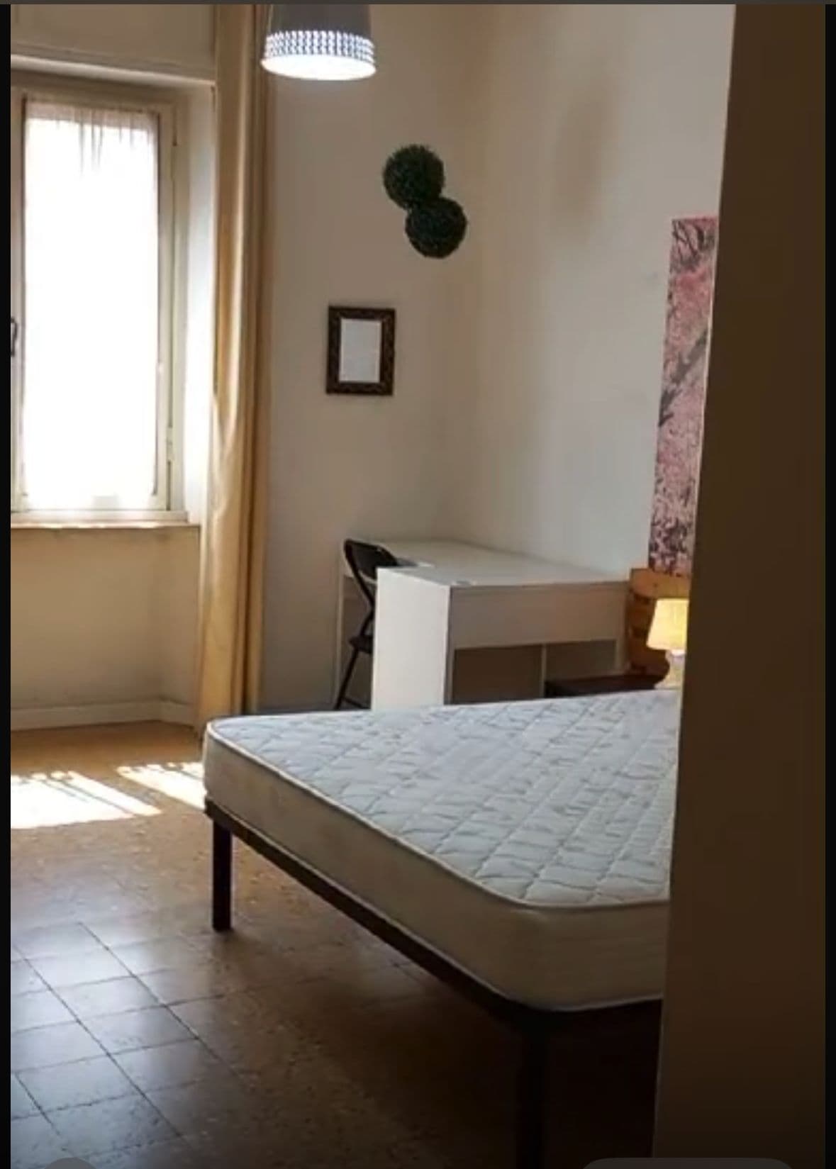 Shared Room in Pisa