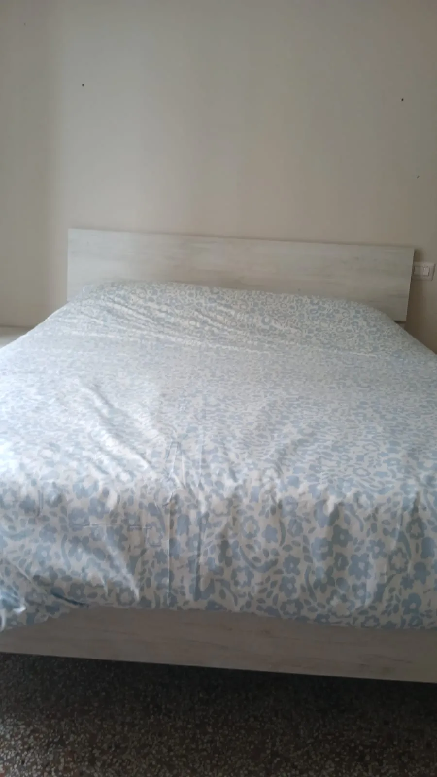 Private room in Genoa photo 4